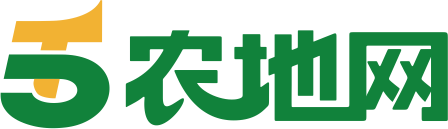 千五资产